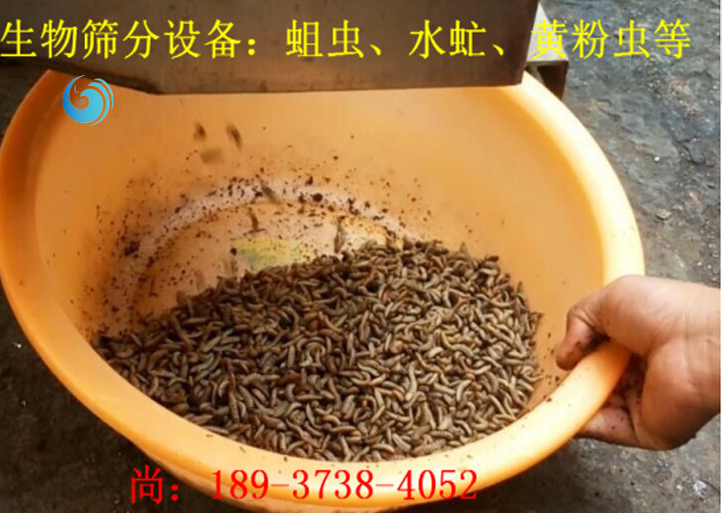 蛆虫筛选3层网站免费正能量直接进入